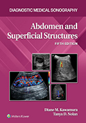 abdomen-and-superficial-structures