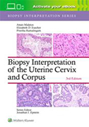biopsy-interpretation-of-the-uterine