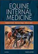 equine-internal-medicine