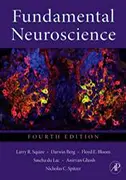 fundamental-neuroscience