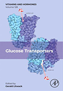 glucose-transporters