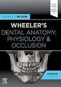wheelers-dental-anatomy