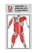anatomy-and-klinesiology-flash-cards