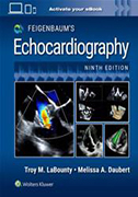 feigenbaums-echocardiography