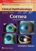 cornea