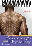 pocket-anatomy-and-physiology