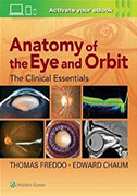 anatomy-of-the-eye-and-orbit