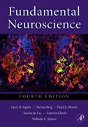 fundamental-neuroscience