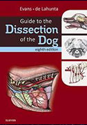 guide-to-the-dissection-of-the-dog