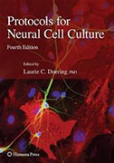 protocols-for-neural-cell-culture