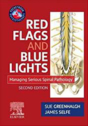 red-flags-and-blue-lights