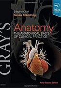 grays-anatomy.