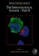 immunological-synapse-part-b