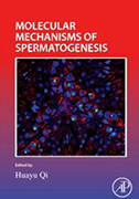 molecular-mechanisms