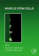 muscle-stem-cells