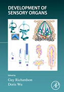 development-of-sensory