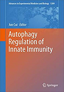 autophagy-regulation-of-innate-immunity