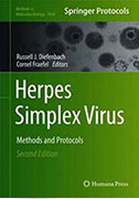 herpes-simplex-virus