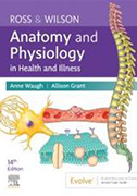 ross-&-wilson-anatomy