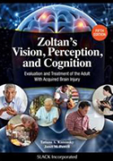 zoltans-vision