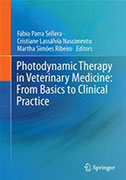 photodynamic-therapy