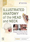 illustrated-anatomy