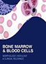 bone-marrow-blood-cells-books